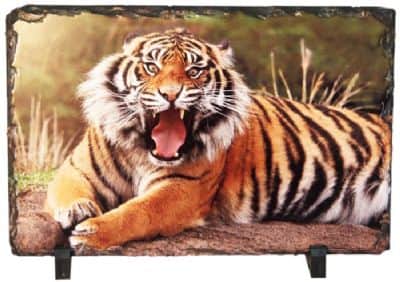 אבן בזלת 20*30 ס"מ